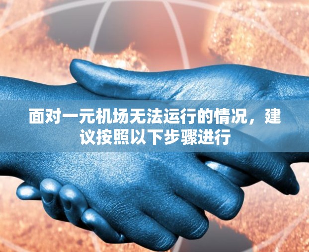 面对一元机场无法运行的情况，建议按照以下步骤进行