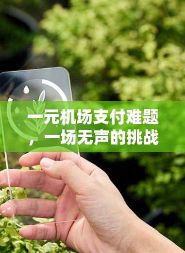 一元机场支付难题，一场无声的挑战