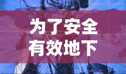 为了安全有效地下载代理APP，按照以下步骤进行