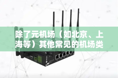 除了元机场（如北京、上海等）其他常见的机场类型有以下几种