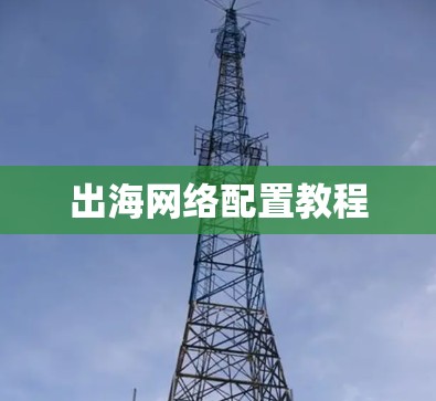 出海网络配置教程