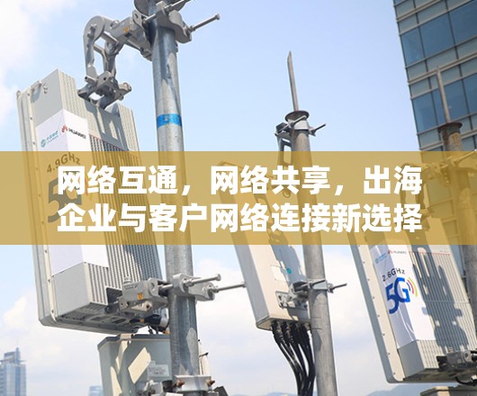 网络互通，网络共享，出海企业与客户网络连接新选择