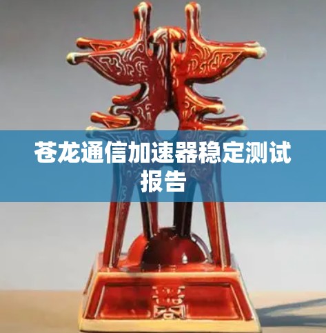 苍龙通信加速器稳定测试报告