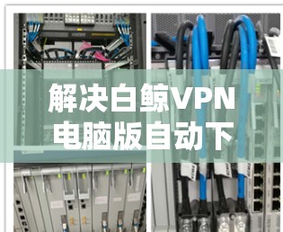 解决白鲸VPN电脑版自动下载问题的步骤如下