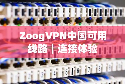 ZoogVPN中国可用线路｜连接体验