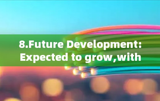 8.Future Development:Expected to grow,with plans for continuous updates and improvements.