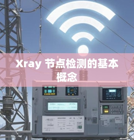Xray 节点检测的基本概念