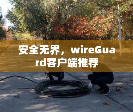 安全无界，wireGuard客户端推荐