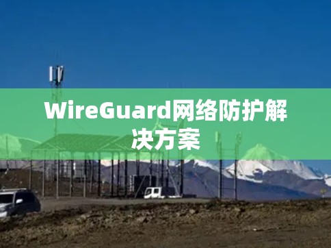 WireGuard网络防护解决方案
