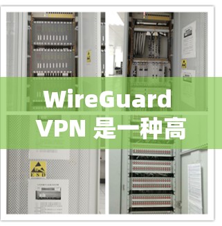 WireGuard VPN 是一种高度加密且高性能的网络VPN技术，适合需要高效数据传输和安全连接的用户。以下是对 WireGuard VPN 的详细分析和建议