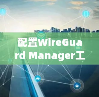 配置WireGuard Manager工具是一个高级工具，允许更深入地管理网络物理层。以下是详细的步骤指南