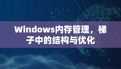 Windows内存管理，梯子中的结构与优化