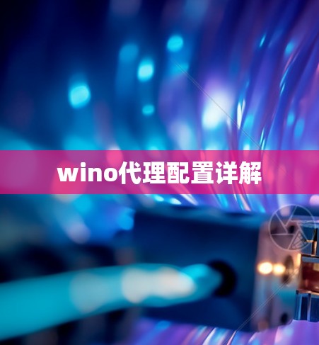wino代理配置详解