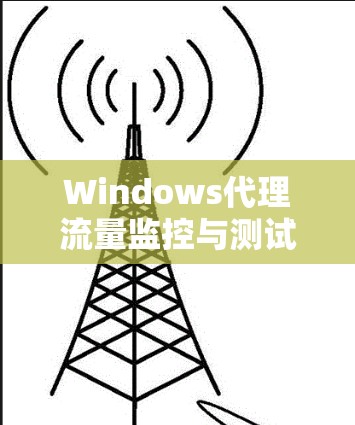 Windows代理流量监控与测试工具
