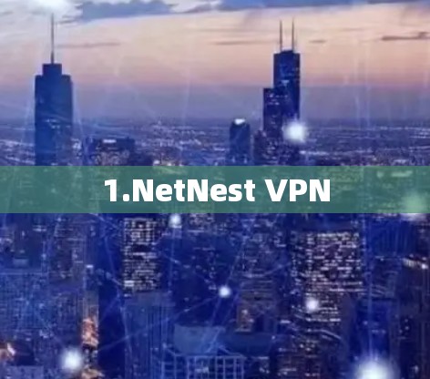 1.NetNest VPN