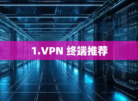 1.VPN 终端推荐
