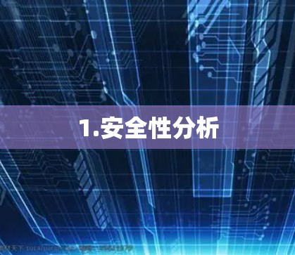 1.安全性分析