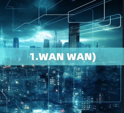 1.WAN WAN)