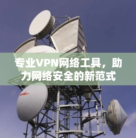 专业VPN网络工具，助力网络安全的新范式