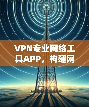 VPN专业网络工具APP，构建网络安全防护体系