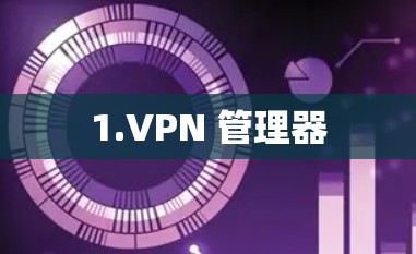 1.VPN 管理器