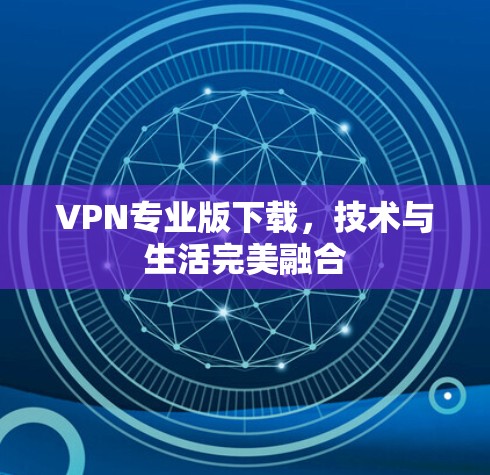 VPN专业版下载，技术与生活完美融合