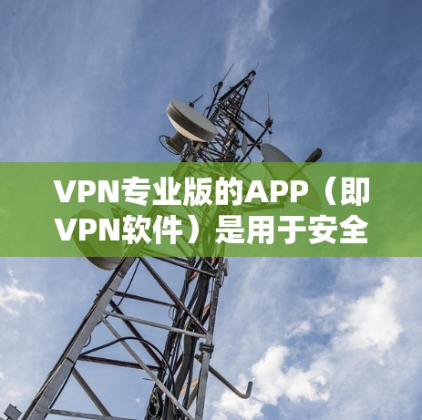 VPN专业版的APP（即VPN软件）是用于安全地传输数据、连接网络、进行虚拟环境模拟和视频会议等的功能。以下是对这些软件的详细介绍，涵盖协议、类型、配置和安全设置等关键方面
