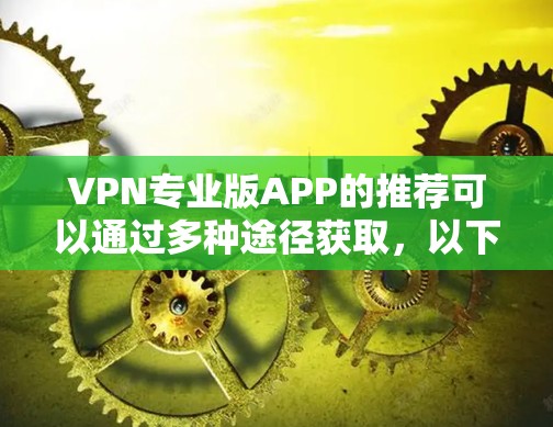 VPN专业版APP的推荐可以通过多种途径获取，以下是一些常用的入口和推荐
