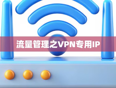 流量管理之VPN专用IP