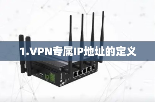 1.VPN专属IP地址的定义