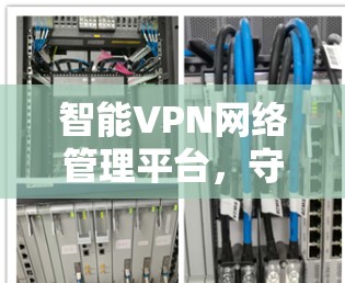 智能VPN网络管理平台，守护网络安全的智能解决方案