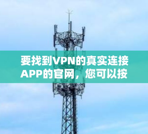 要找到VPN的真实连接APP的官网，您可以按照以下步骤操作