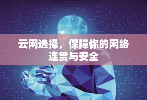 云网选择，保障你的网络连贯与安全
