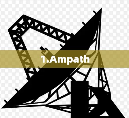 1.Ampath