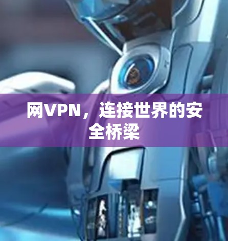 网VPN，连接世界的安全桥梁