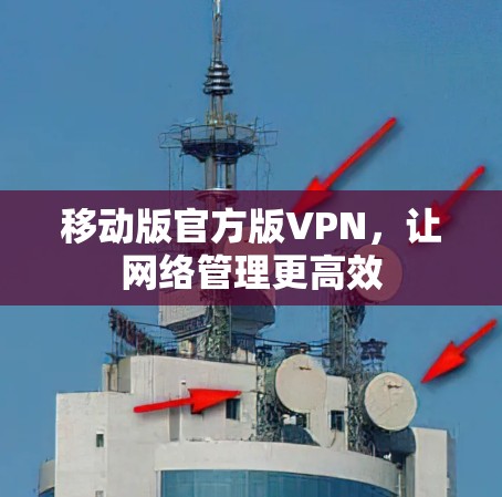 移动版官方版VPN，让网络管理更高效