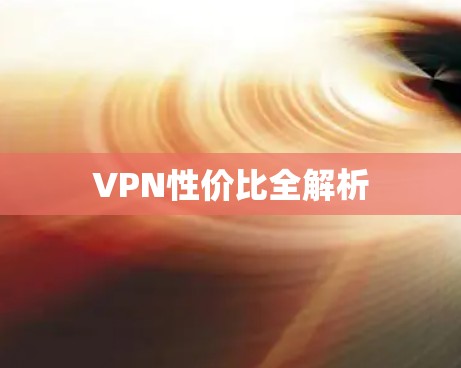 VPN性价比全解析