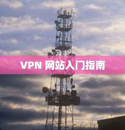 VPN 网站入门指南