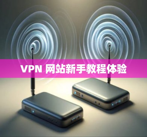 VPN 网站新手教程体验