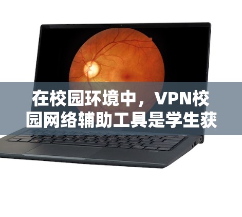 在校园环境中，VPN校园网络辅助工具是学生获取网络服务的重要工具，但选择合适的工具需要综合考虑学生的预算、使用习惯以及对工具功能的需求。以下是对这些工具的总结和推荐