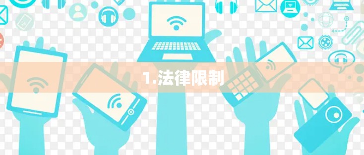 1.法律限制