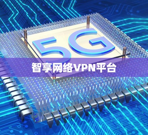 智享网络VPN平台