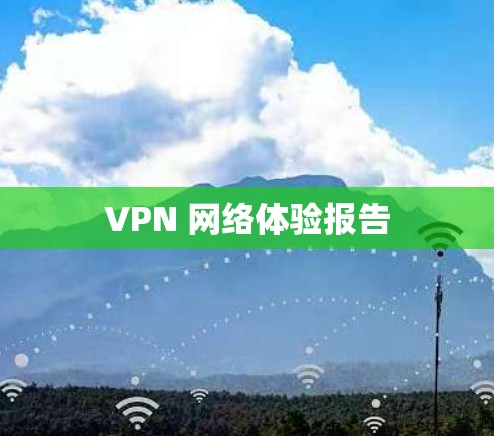 VPN 网络体验报告