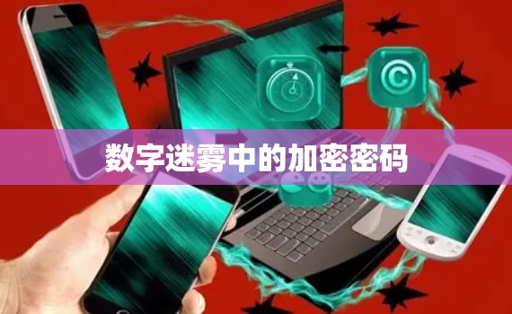 数字迷雾中的加密密码