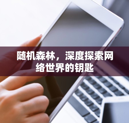随机森林，深度探索网络世界的钥匙