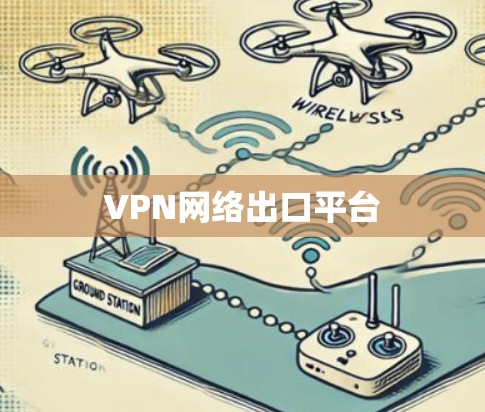 VPN网络出口平台
