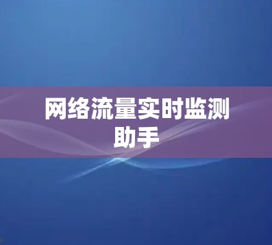 网络流量实时监测助手