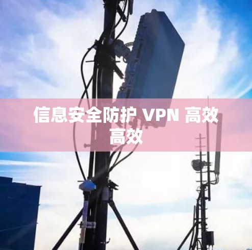 信息安全防护 VPN 高效高效