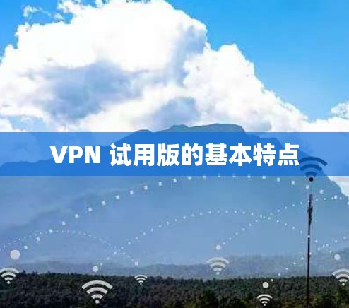 VPN 试用版的基本特点