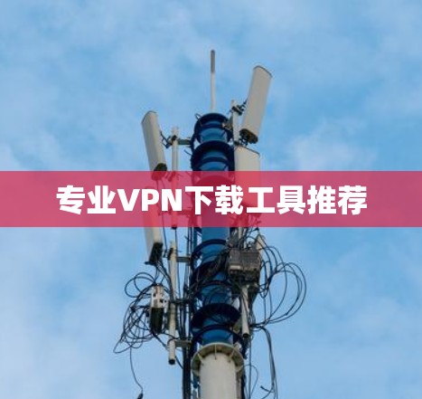专业VPN下载工具推荐